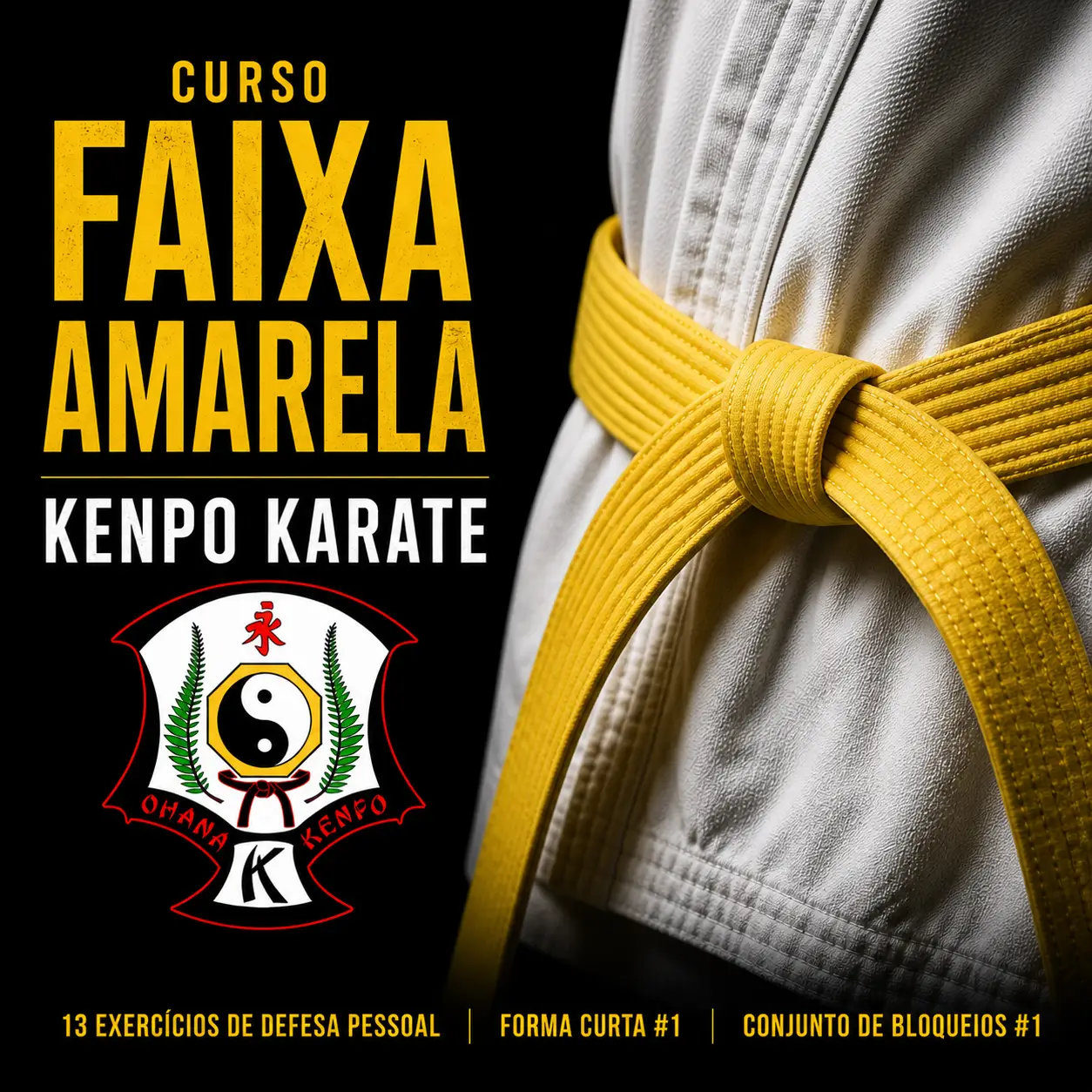 Curso Faixa Amarela